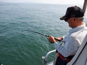 遊漁船 幸友丸 釣果