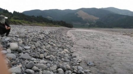 大井川(大井川(非)漁業協同組合) 釣果