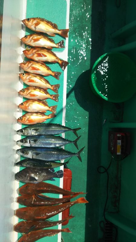 モンロー号 釣果