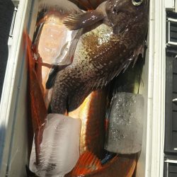 モンロー号 釣果