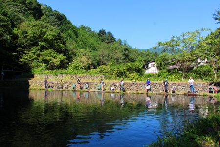 小菅トラウトガーデン 釣果