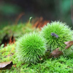 小菅トラウトガーデン 釣果