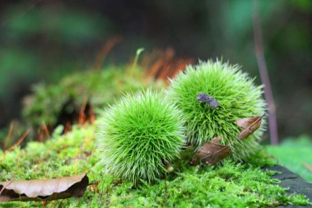小菅トラウトガーデン 釣果