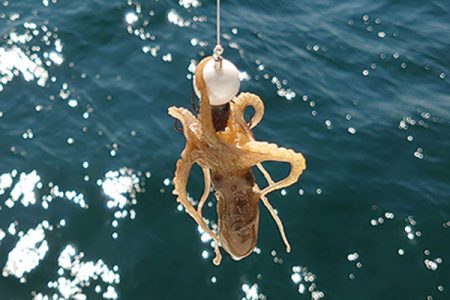 松本釣船2 釣果