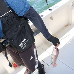 松本釣船2 釣果