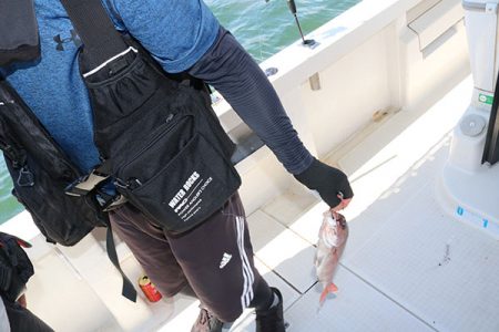 松本釣船2 釣果