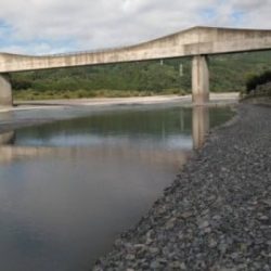 大井川(大井川(非)漁業協同組合) 釣果