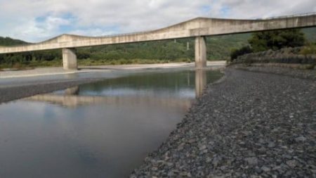 大井川(大井川(非)漁業協同組合) 釣果