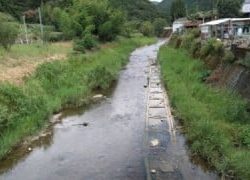 大井川(大井川(非)漁業協同組合) 釣果