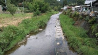 大井川（大井川(非)漁業協同組合） 釣果