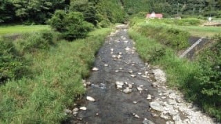 大井川(大井川(非)漁業協同組合) 釣果