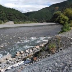 大井川(大井川(非)漁業協同組合) 釣果