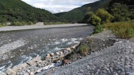 大井川(大井川(非)漁業協同組合) 釣果