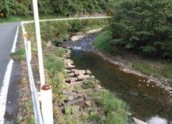 大井川(大井川(非)漁業協同組合) 釣果