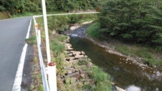 大井川(大井川(非)漁業協同組合) 釣果