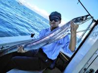 おおせき丸 釣果