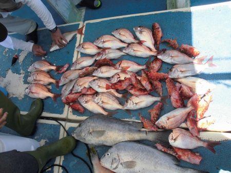 十八宝洋丸 釣果