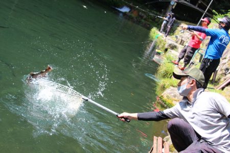 小菅トラウトガーデン 釣果