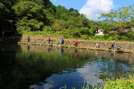 小菅トラウトガーデン 釣果