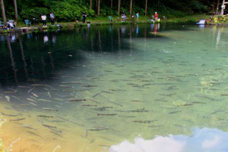 小菅トラウトガーデン 釣果