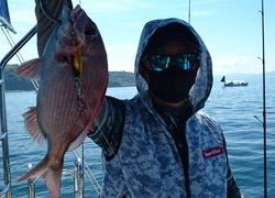 愛裕南丸 釣果