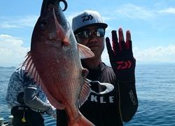 愛裕南丸 釣果