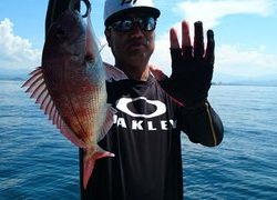 愛裕南丸 釣果