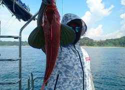 愛裕南丸 釣果