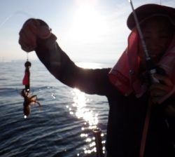 遊漁船 幸友丸 釣果