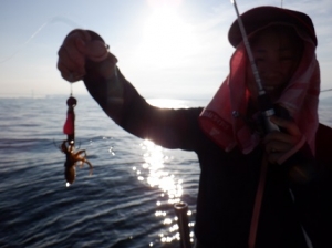遊漁船 幸友丸 釣果