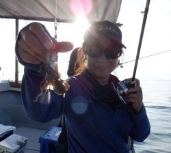 遊漁船 幸友丸 釣果