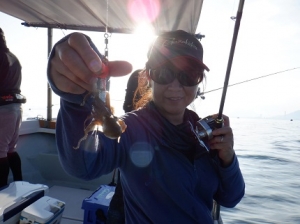 遊漁船 幸友丸 釣果