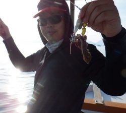 遊漁船 幸友丸 釣果