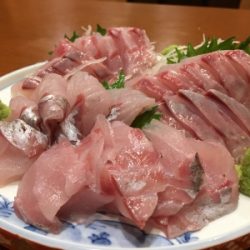 大宝丸 釣果