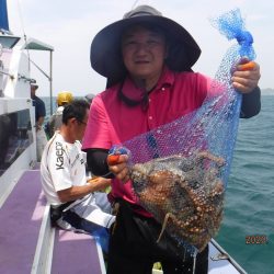 川崎丸 釣果