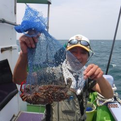 川崎丸 釣果