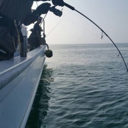 第五慶門丸 釣果