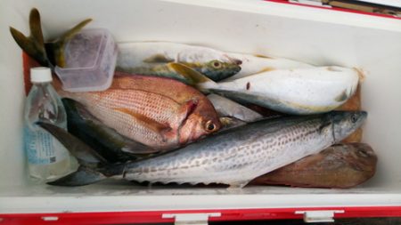 弘福丸 釣果