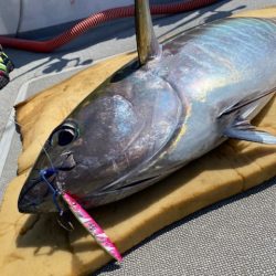 へいみつ丸 釣果