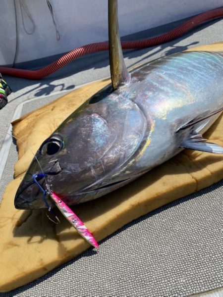 へいみつ丸 釣果