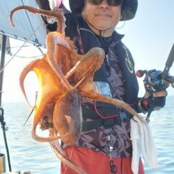 遊漁船　ニライカナイ 釣果