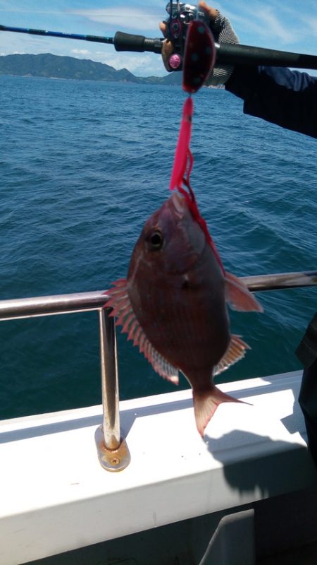 弘福丸 釣果