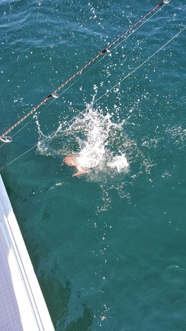 遊漁船　ニライカナイ 釣果