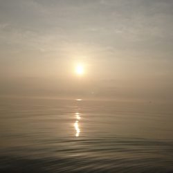 遊漁船 家入 釣果