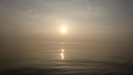 遊漁船 家入 釣果