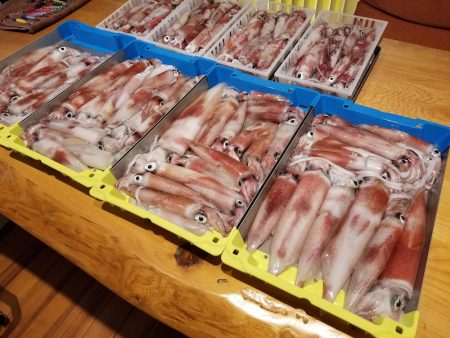 ＢｌｕｅＮｏｔｅ　Ｆｉｓｈｉｎｇ　Ｔａｘｉ 釣果