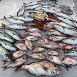 ミタチ丸 釣果