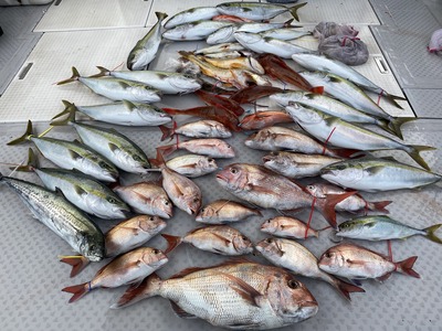 ミタチ丸 釣果