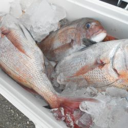 こうゆう丸 釣果