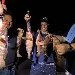 Magic(マジック) 釣果